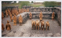 Forbidden Gardens