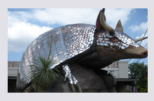 Longhorn Armadillo