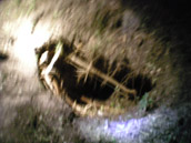Haunted Tour