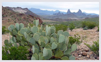 Chihuahuan Desert