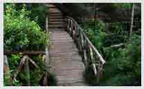 Bridge Over Bayou in Bayou Bend